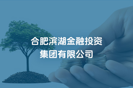 合肥滨湖金融投资集团有限公司