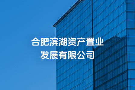 合肥滨湖资产置业发展有限公司