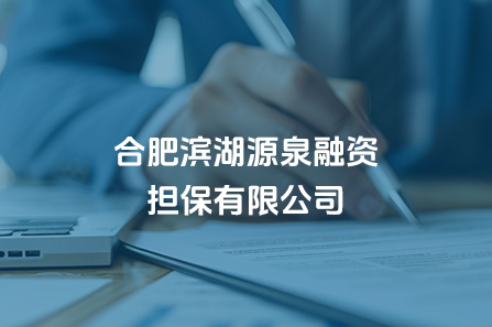 合肥滨湖源泉融资担保有限公司