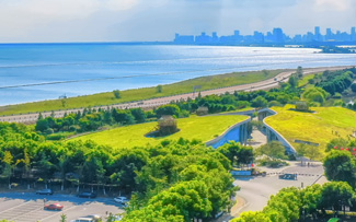 合肥滨湖国家森林公园
