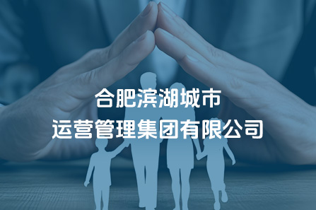 合肥滨湖城市运营管理集团有限公司