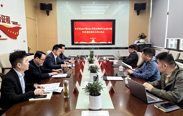 纪审联动压实整改责任，精准施策激活增效动能
