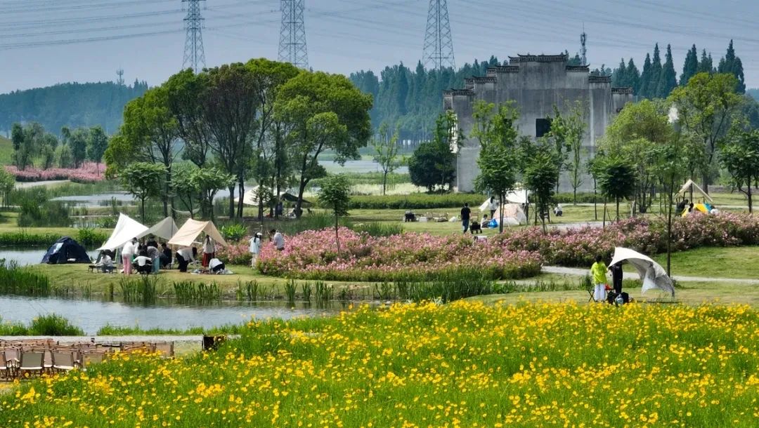 安徽第一城区包河区：“一站式”服务！紫云山短视频拍摄基地正式开放！